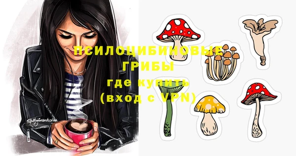 дмт Баксан